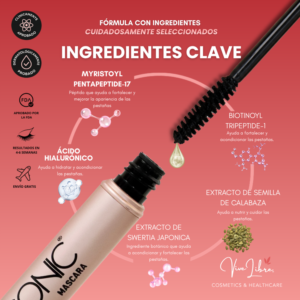 KIT LASH & BROW + RIZADOR DE PESTAÑAS Y COSMETIQUERA DE REGALO