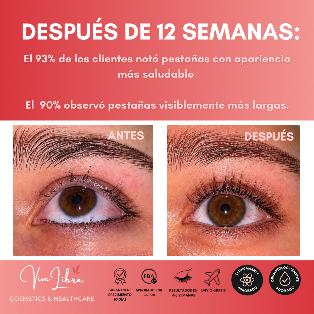 KIT LASH & BROW + RIZADOR DE PESTAÑAS Y COSMETIQUERA DE REGALO
